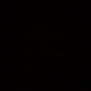 Meet your Posher, Jacki